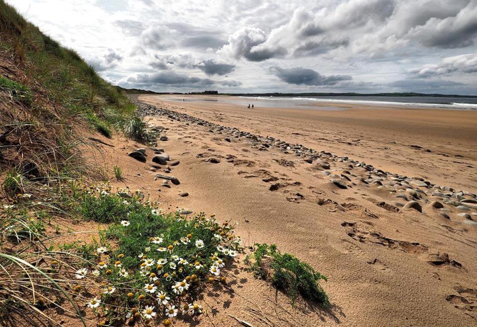 Bealaha House Panzió Doonbeg Kültér fotó